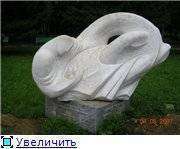 4a5a6822afa3t.jpg