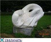 6f9177bc2fe6t.jpg