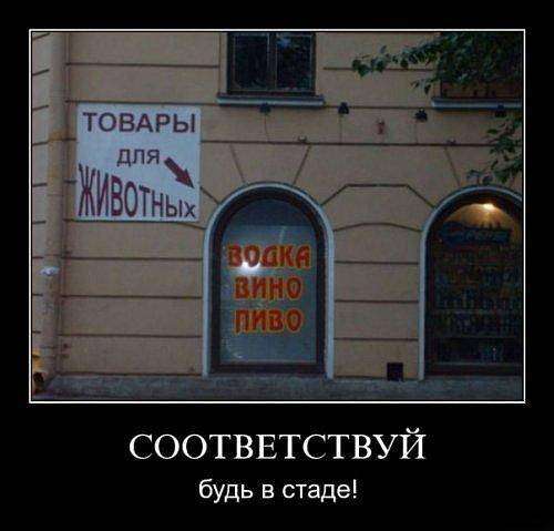 post-1175-0-42682100-1359124463_thumb.jp