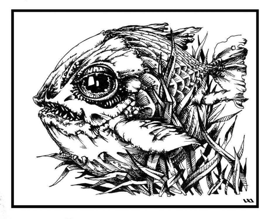 post-13098-0-04088200-1421486129_thumb.j