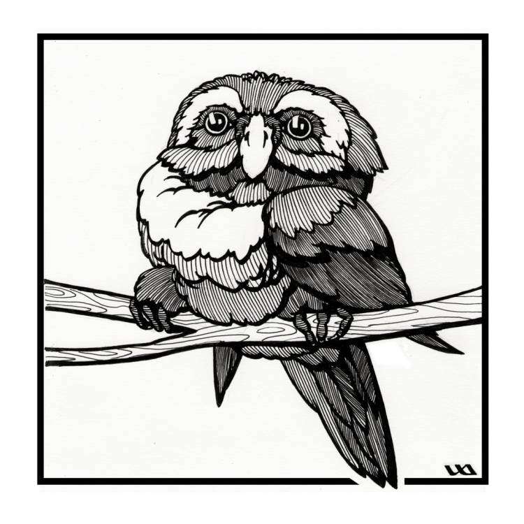 post-13098-0-86931300-1421230154_thumb.j