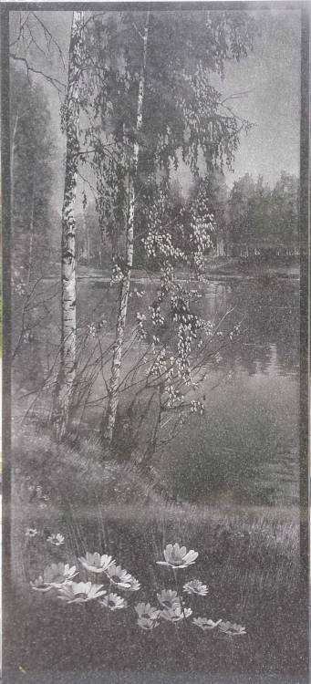 post-2956-0-78642000-1421854032_thumb.jp