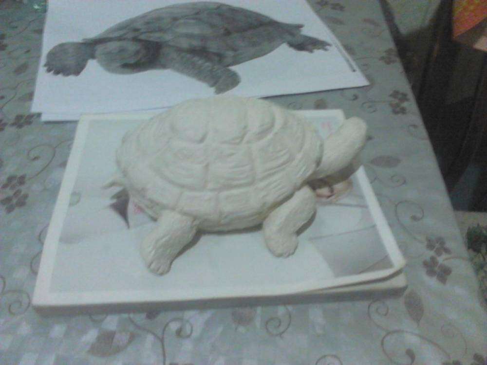 post-10809-0-74114200-1452657966_thumb.j