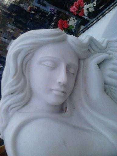 post-10809-0-82996700-1451901761_thumb.j