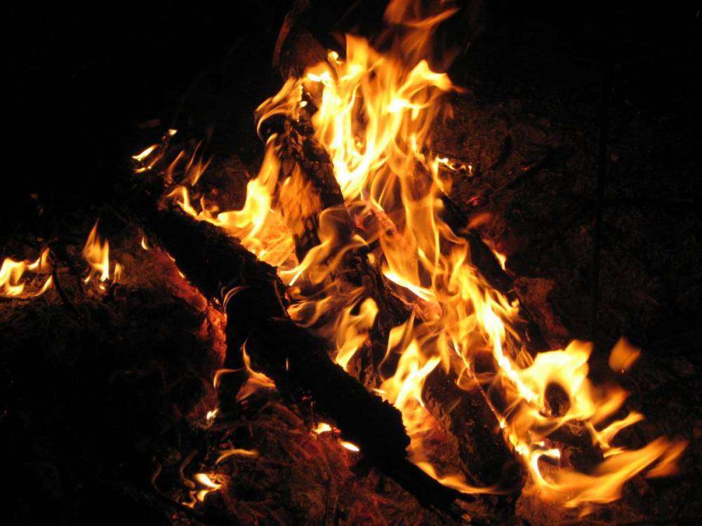 post-15904-0-63999900-1453881735_thumb.j