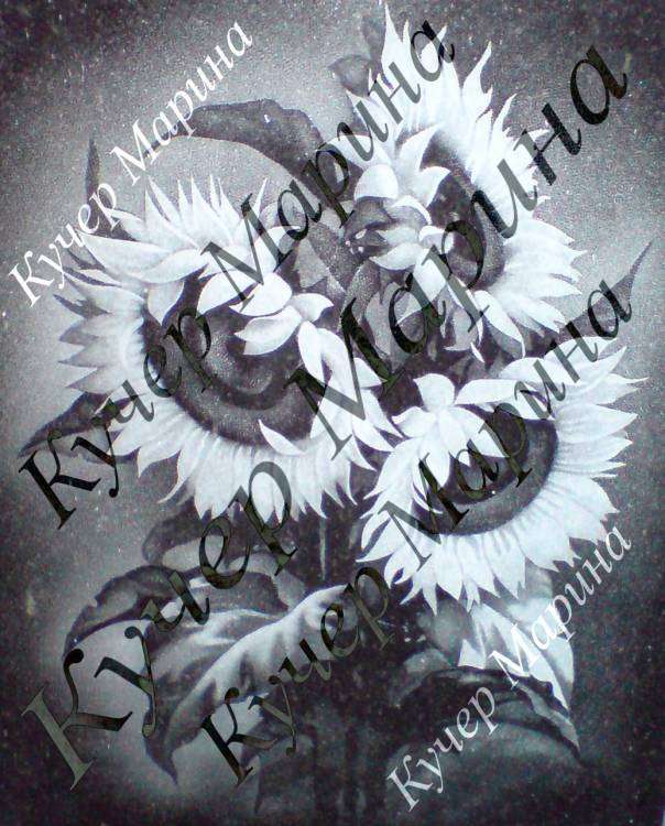 post-15904-0-99463500-1453669471_thumb.j