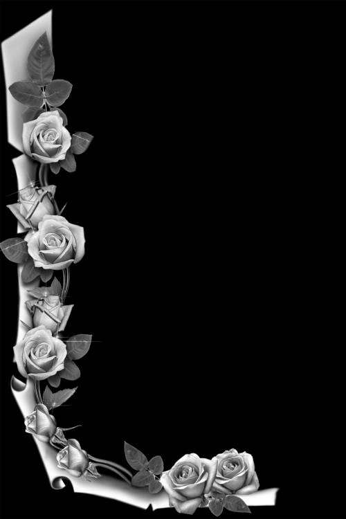 post-6046-0-26296600-1361991161_thumb.jp