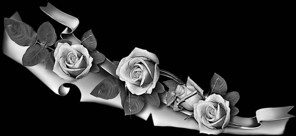 post-6046-0-80716000-1361991185_thumb.jp