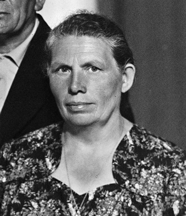 post-7766-0-83578400-1360866844_thumb.jp