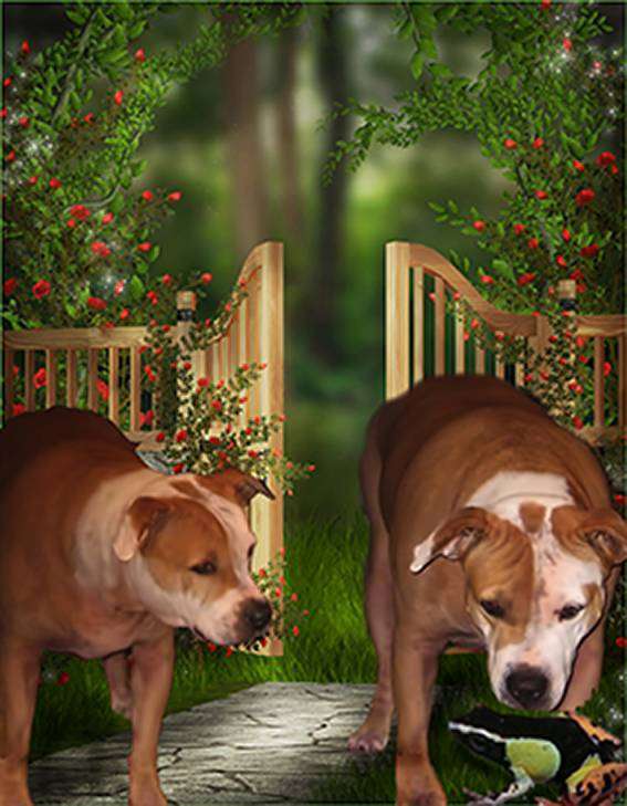 post-6217-0-22259200-1393410624_thumb.jp