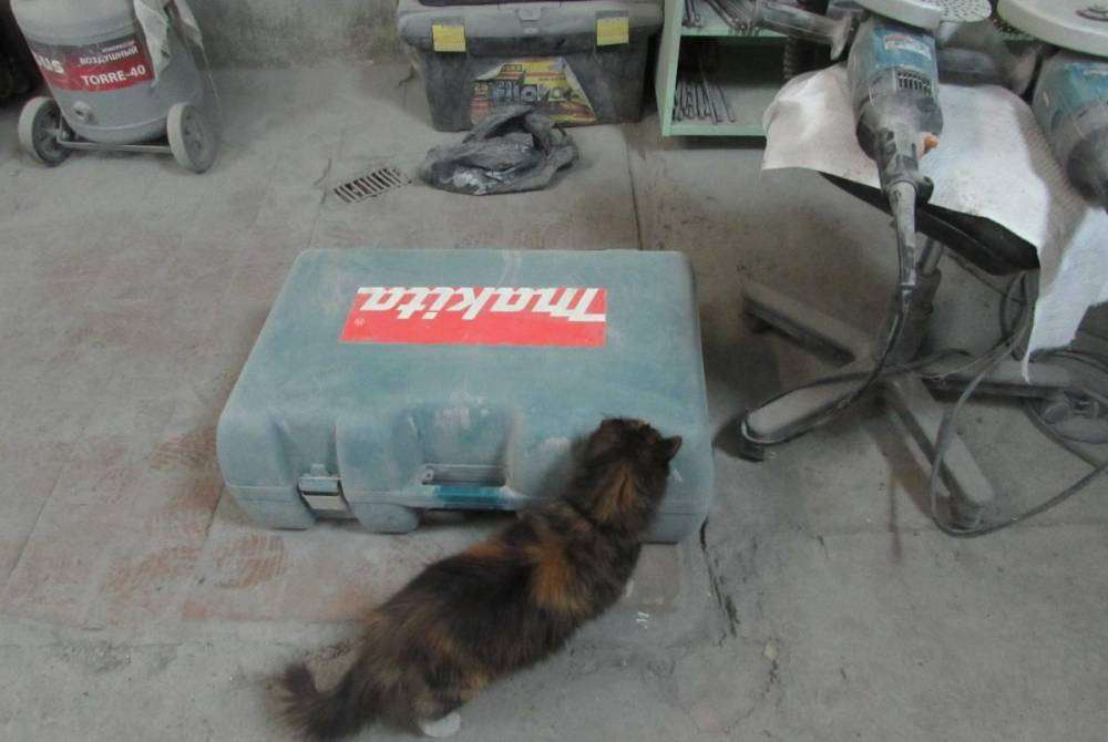 post-5180-0-77544300-1423025138_thumb.jp