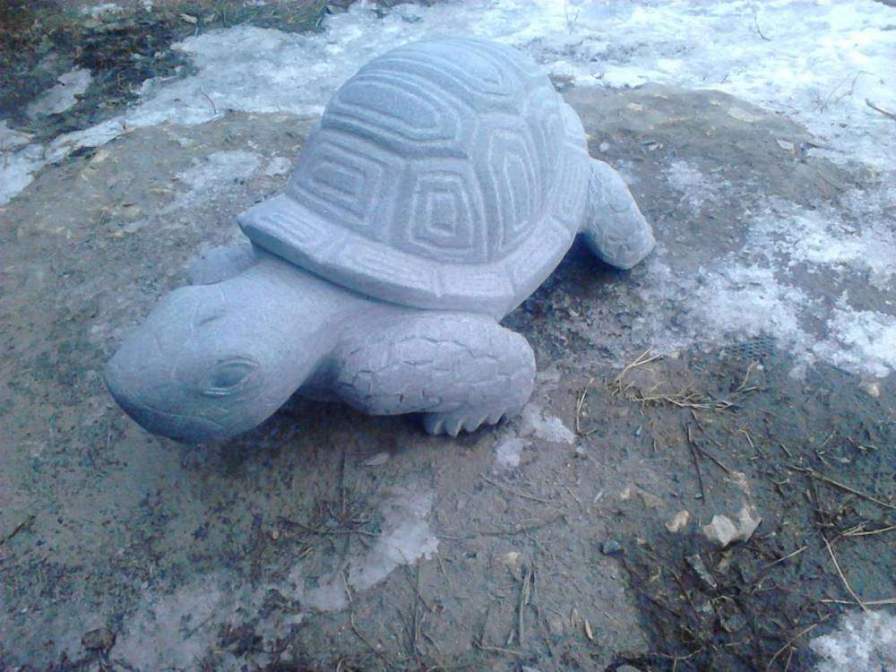 post-10809-0-07655600-1454847502_thumb.j