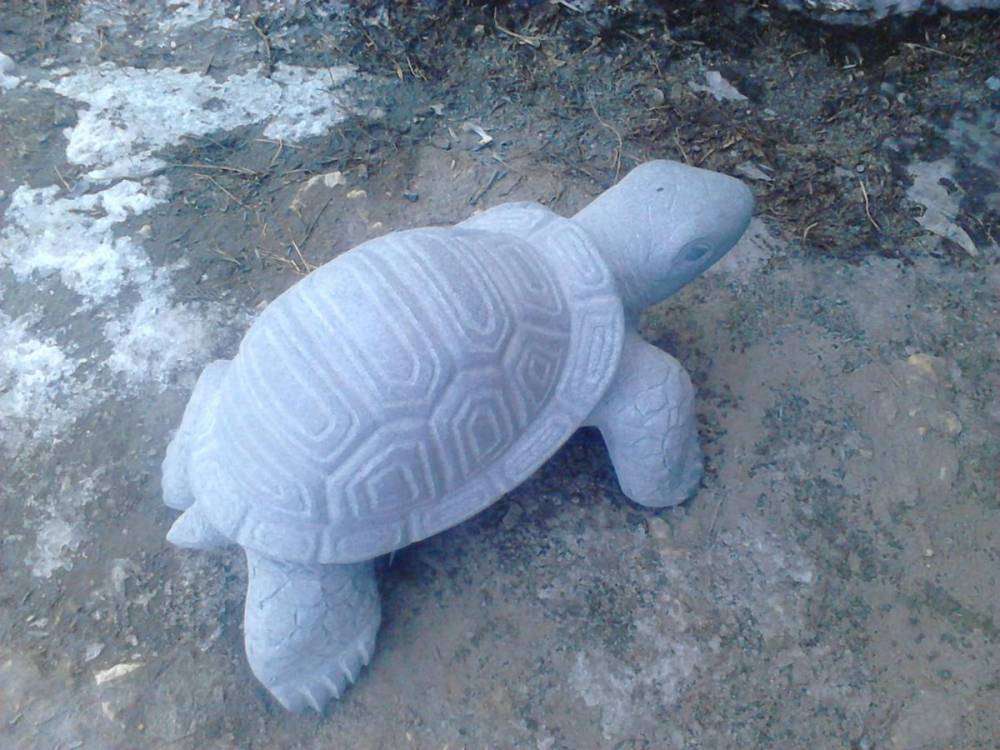 post-10809-0-29462400-1454847783_thumb.j