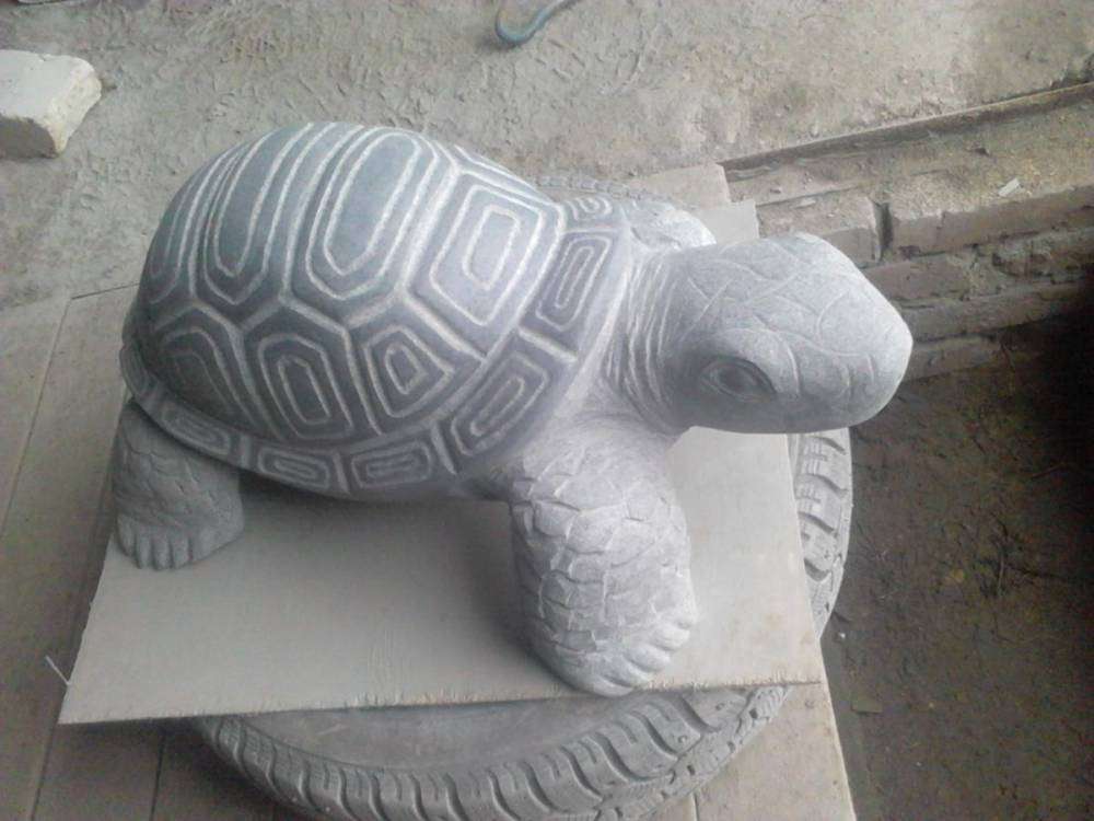 post-10809-0-49377300-1456731871_thumb.j