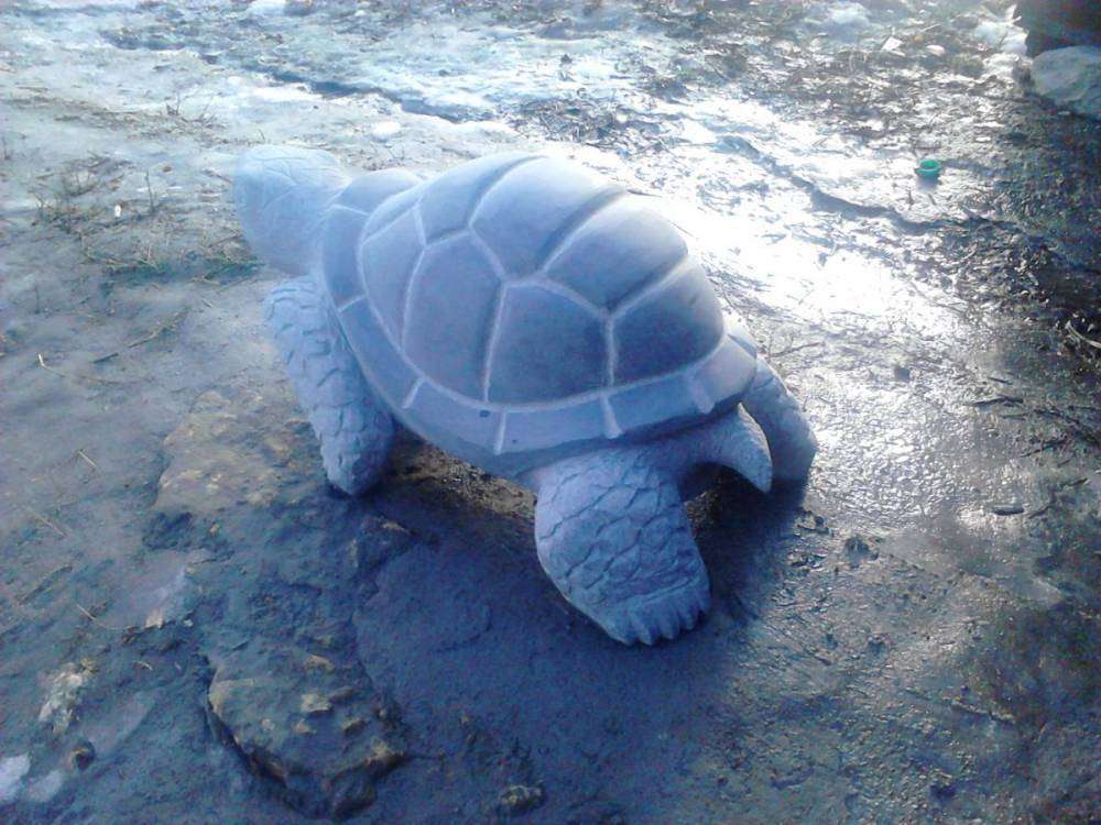 post-10809-0-90846000-1454570662_thumb.j