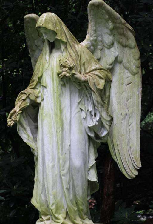 post-11014-0-14442700-1454659099_thumb.j