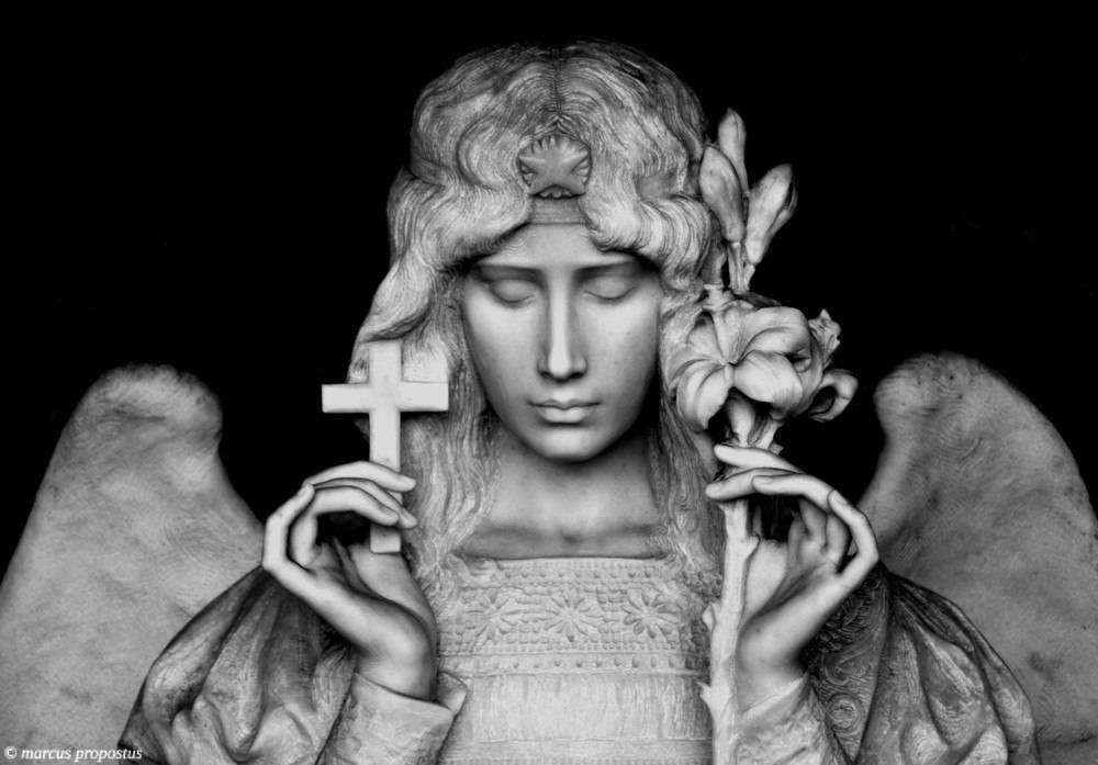 post-11014-0-22597300-1454659222_thumb.j