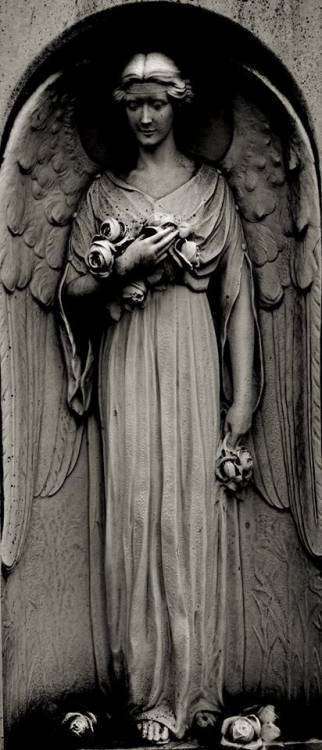 post-11014-0-30436600-1454659224_thumb.j