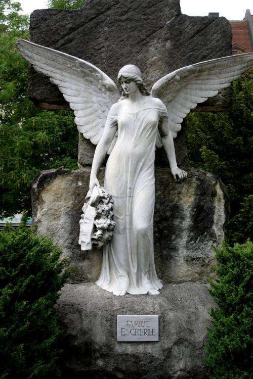 post-11014-0-32552700-1454659223_thumb.j