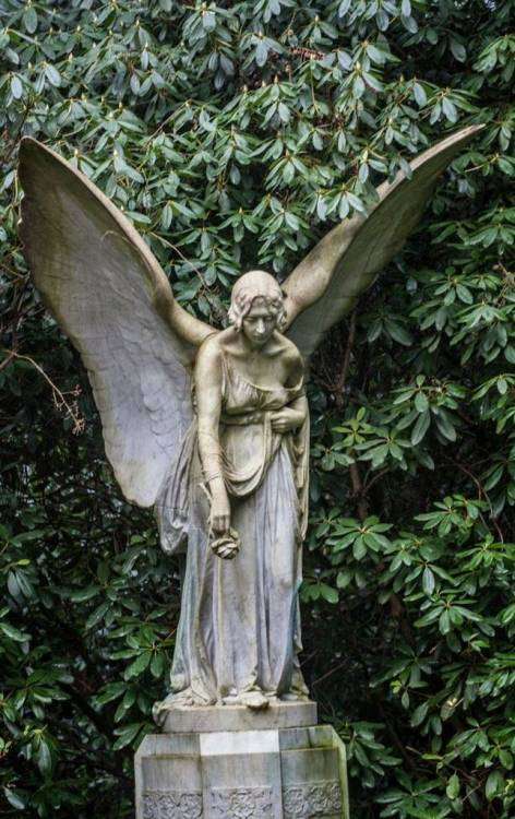 post-11014-0-35225400-1454659099_thumb.j