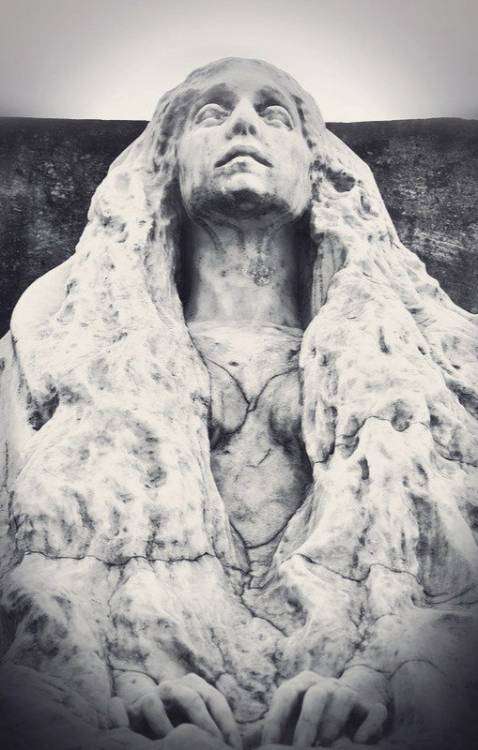 post-11014-0-44662300-1454655751_thumb.j