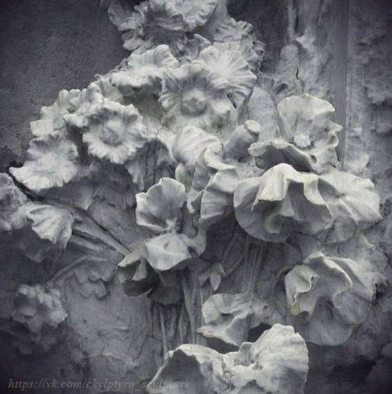 post-11014-0-55761900-1454655765_thumb.j