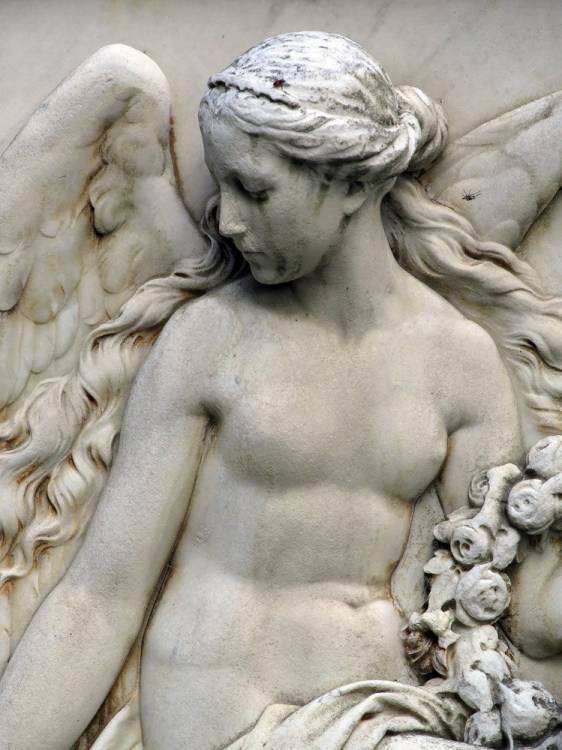 post-11014-0-59110000-1454659099_thumb.j