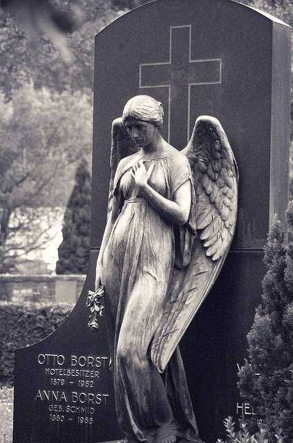 post-11014-0-79685000-1454659223_thumb.j