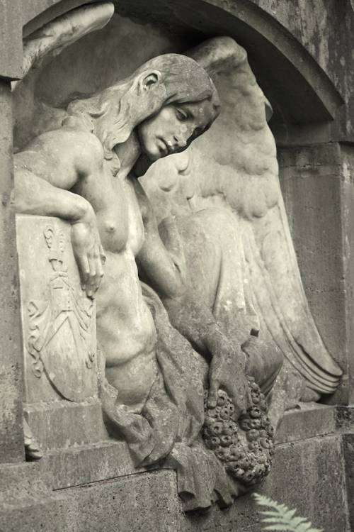 post-11014-0-95441200-1454659098_thumb.j