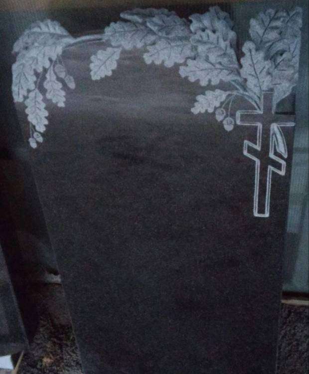 post-15417-0-73080200-1454524402_thumb.j