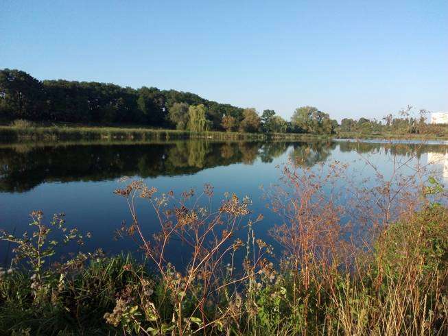 post-15904-0-74064100-1454400316_thumb.j