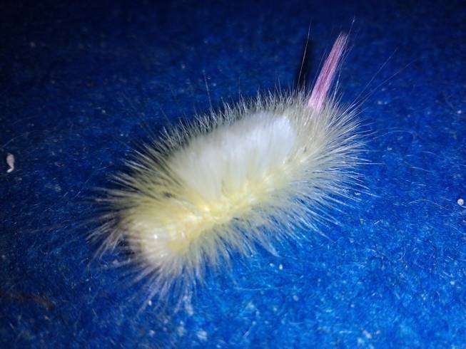 post-15904-0-82122100-1454400564_thumb.j