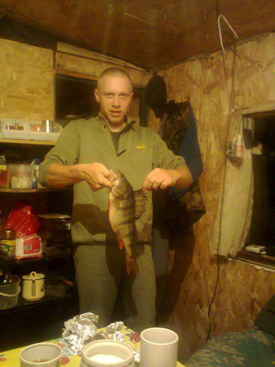 post-3745-0-32032800-1394003310_thumb.jp