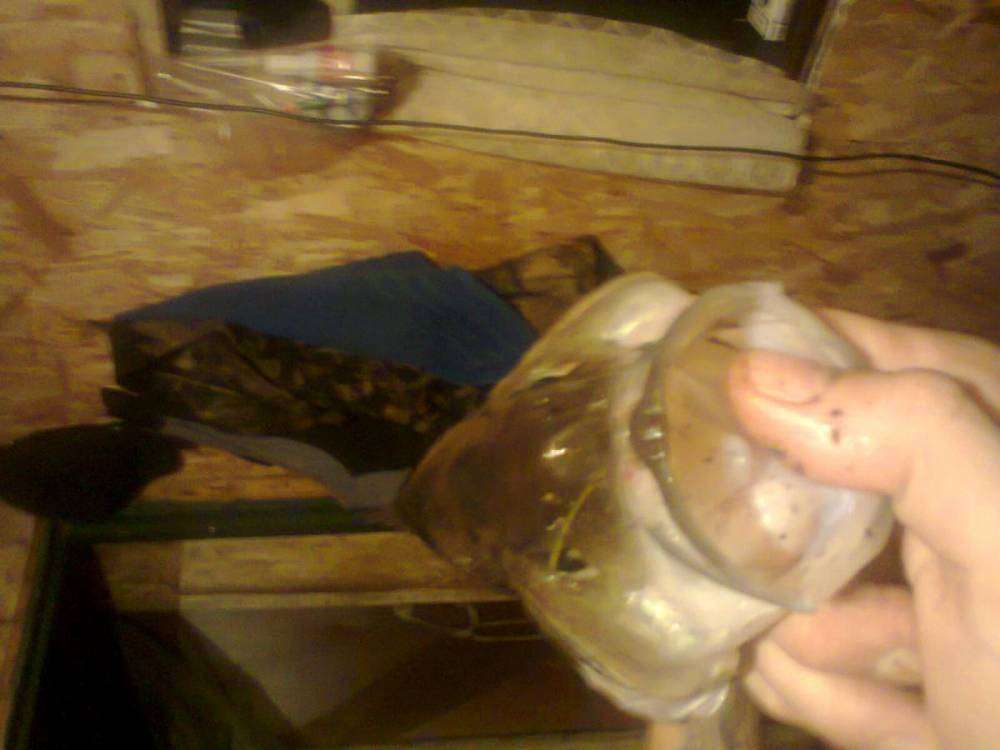 post-3745-0-75819900-1394003214_thumb.jp