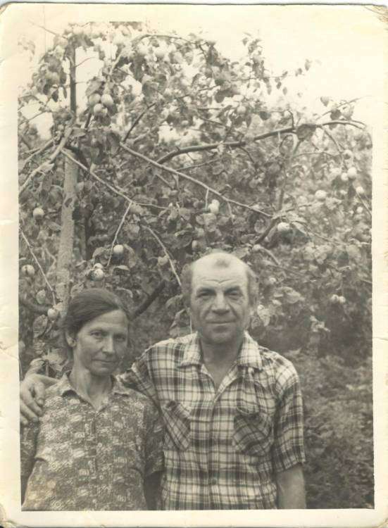 post-13034-0-03306700-1427784422_thumb.j