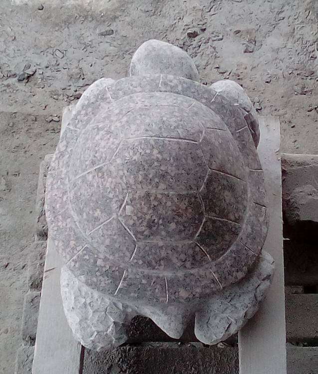 post-10809-0-67008300-1457195799_thumb.j