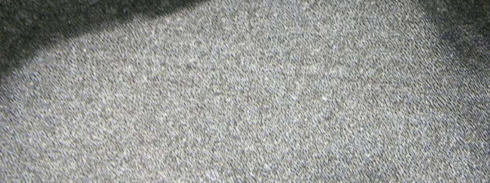 post-13248-0-23403500-1459018977_thumb.j