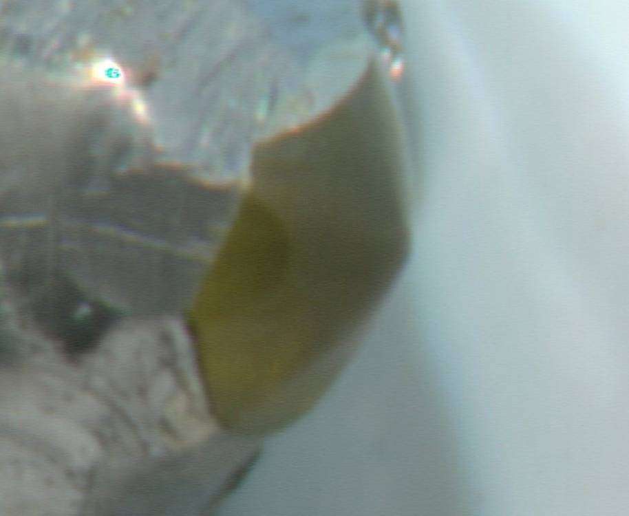 post-15173-0-01691000-1458725468_thumb.j