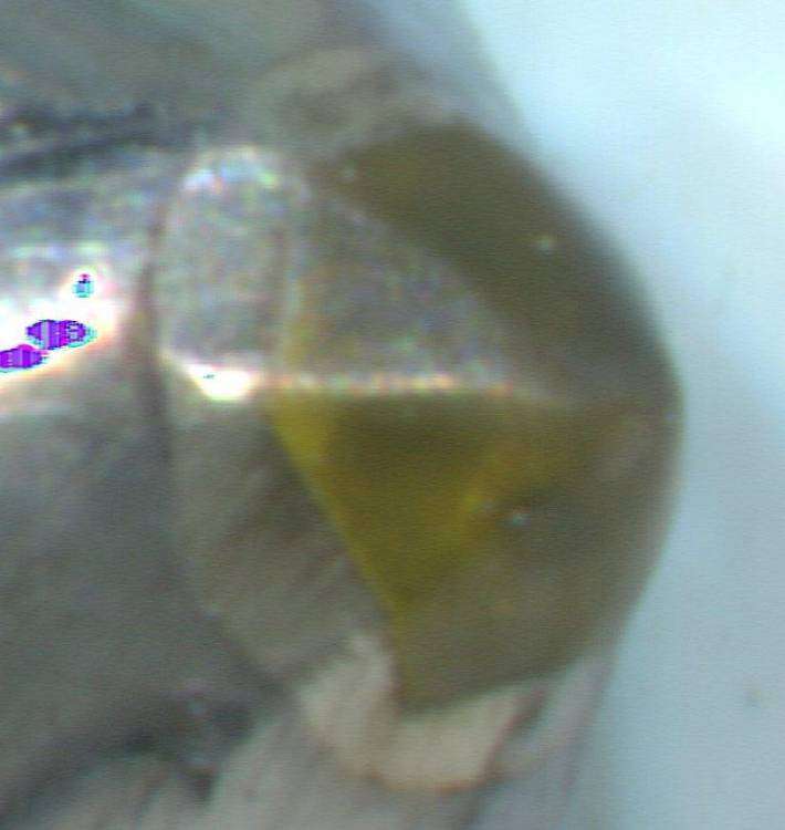 post-15173-0-04241500-1458725475_thumb.j