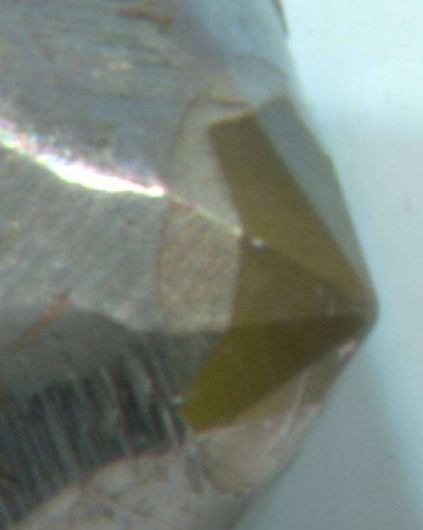 post-15173-0-38008000-1458725459_thumb.j