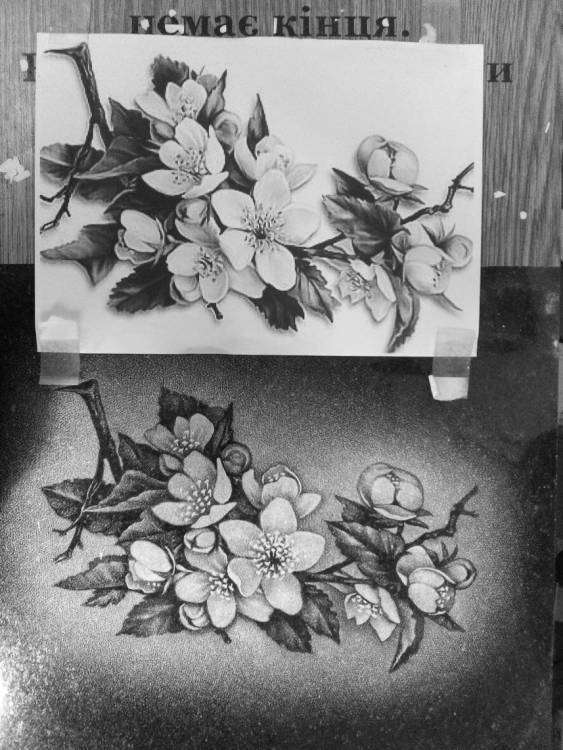 post-15904-0-21537100-1459091358_thumb.j