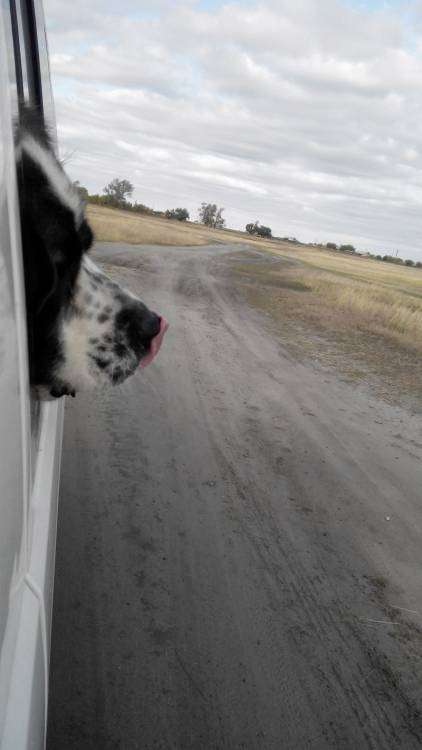 post-3822-0-81854800-1458497745_thumb.jp