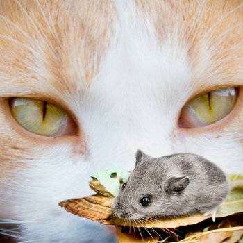 post-6031-0-64504800-1458934932_thumb.jp