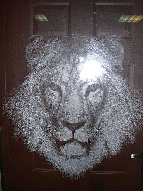 post-9064-0-09918300-1458108304_thumb.jp