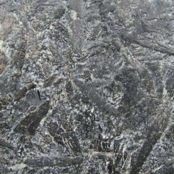 post-7836-0-11087500-1396889995_thumb.jp