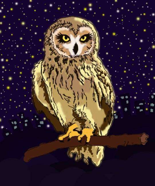 post-13830-0-14201400-1427970649_thumb.j