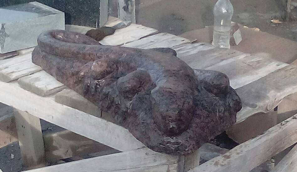 post-10809-0-10501200-1459565411_thumb.j