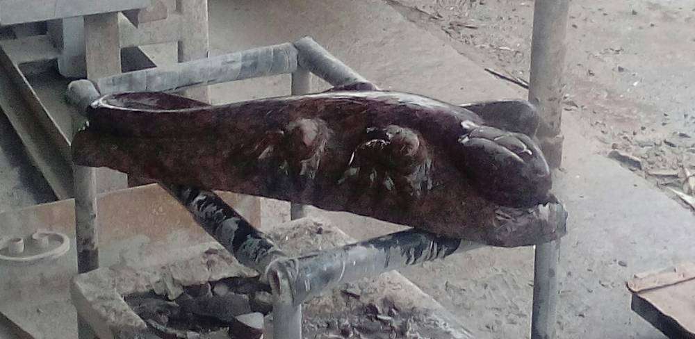 post-10809-0-26849500-1459608248_thumb.j