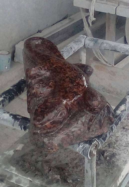 post-10809-0-34694200-1459608315_thumb.j