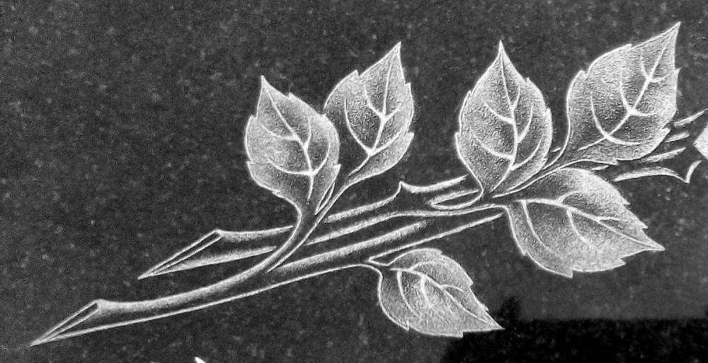 post-15904-0-91830600-1459521875_thumb.j